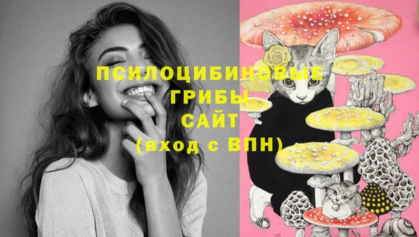 каннабис Алексеевка